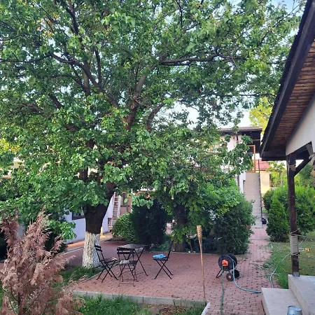 Kalypso Schitu