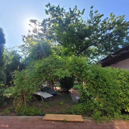 게스트하우스 Kalypso Schitu